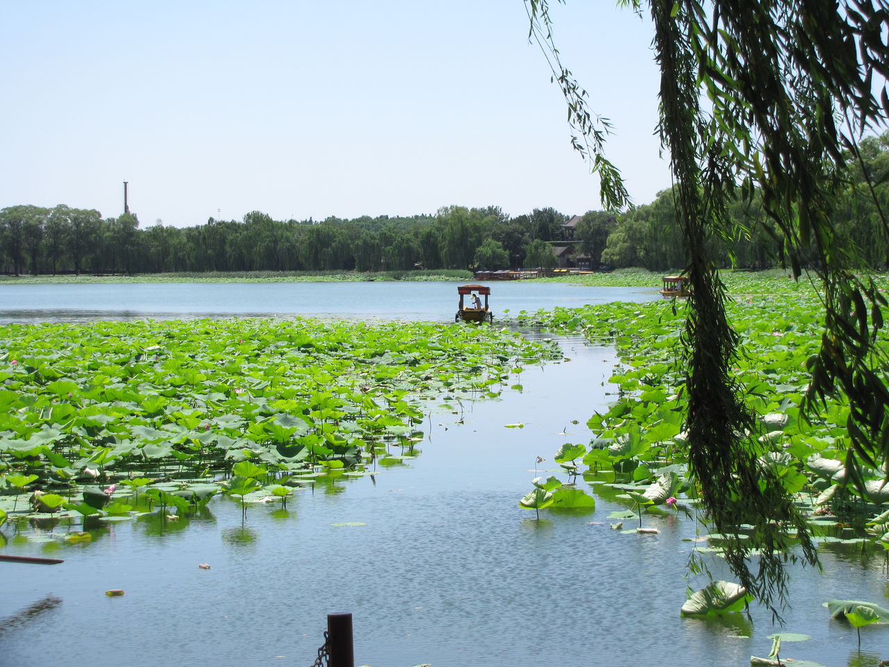 清塘(湖南省湘潭縣錦石鄉下轄村)