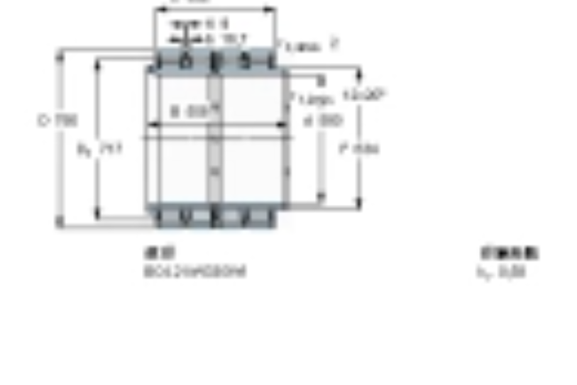 SKF BC4-8013/HA4軸承