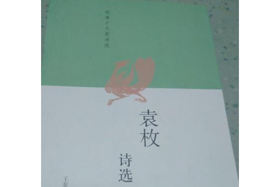 袁枚詩選(2007年人民文學出版社出版的圖書)