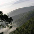 獅子山景區(湖南省韶山市獅子山)