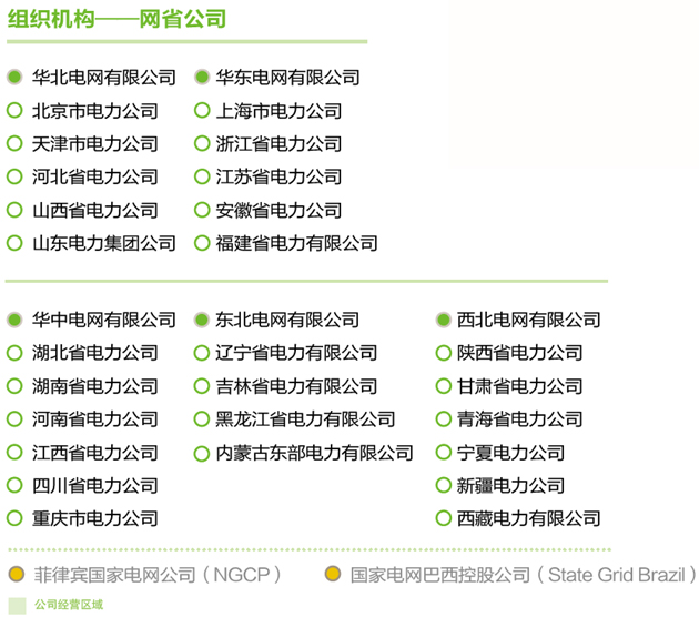 電網(專業用語)