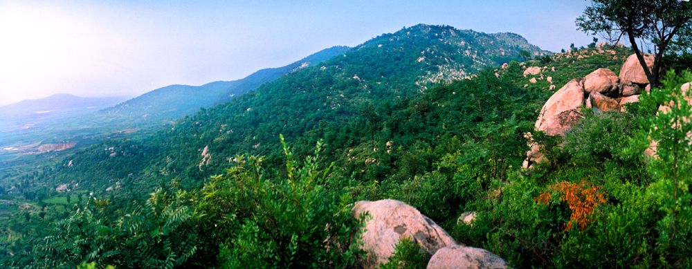 靈泉山省級森林公園全景圖