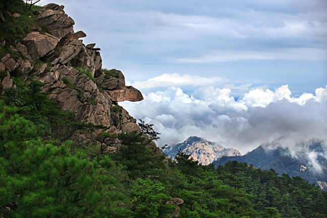 群龜探海