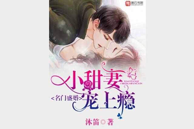 名門盛婚：小甜妻寵上癮(沐笛所著小說)