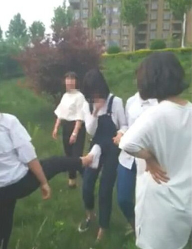 5·3蘭陵女學生群毆同校女生事件