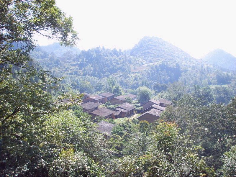 寒洞村(雲南省文山文山壯族苗族自治州富寧縣睦倫鄉下轄村)