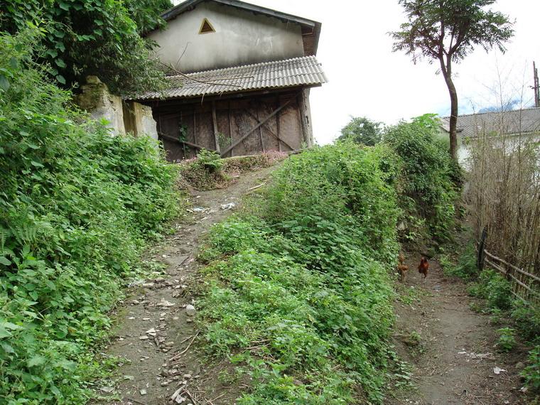 雲南省福貢縣石月亮鄉扎利村進村道路