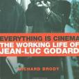 Everything Is Cinema(2008年Metropolitan Books出版的圖書)