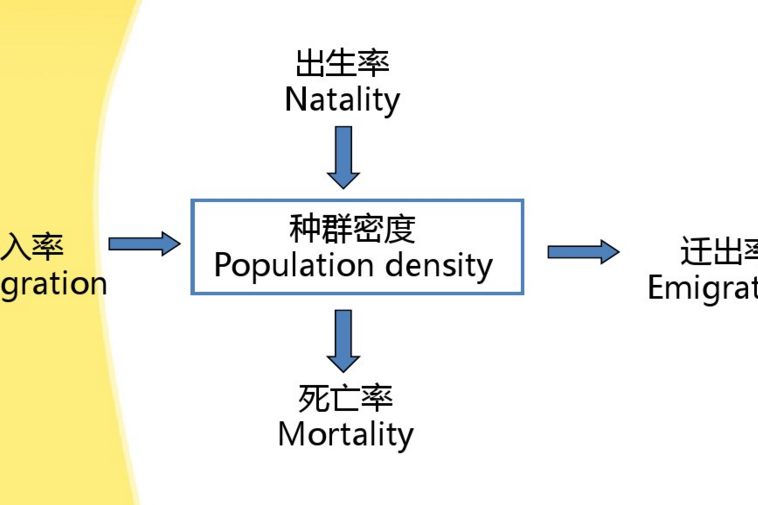 種群參數