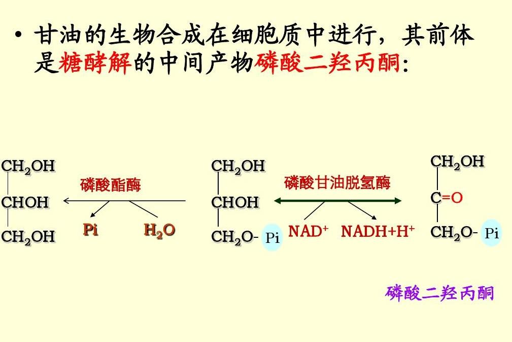 二羥丙酮磷酸