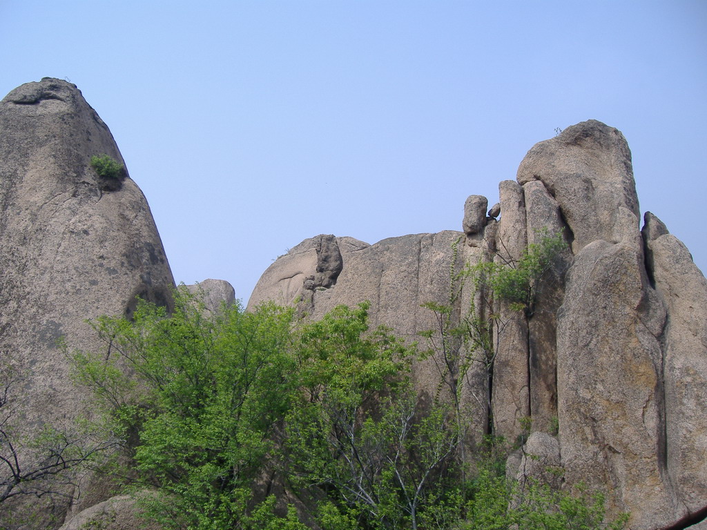 松坪山公園