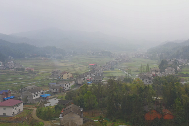 大華村(湖南省益陽市桃江縣桃花江鎮下轄村)