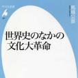 世界史のなかの文化大革命