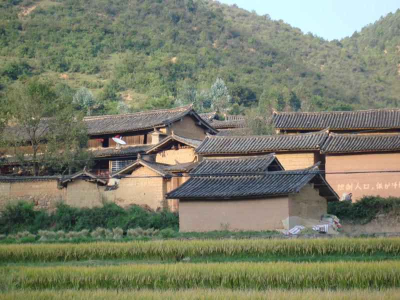 西排村(河北省黃驊市常郭鎮下轄村)