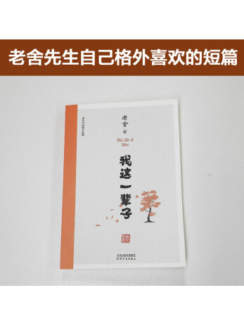 我這一輩子：老舍中短篇小說集(2023年天津人民出版社出版的圖書)