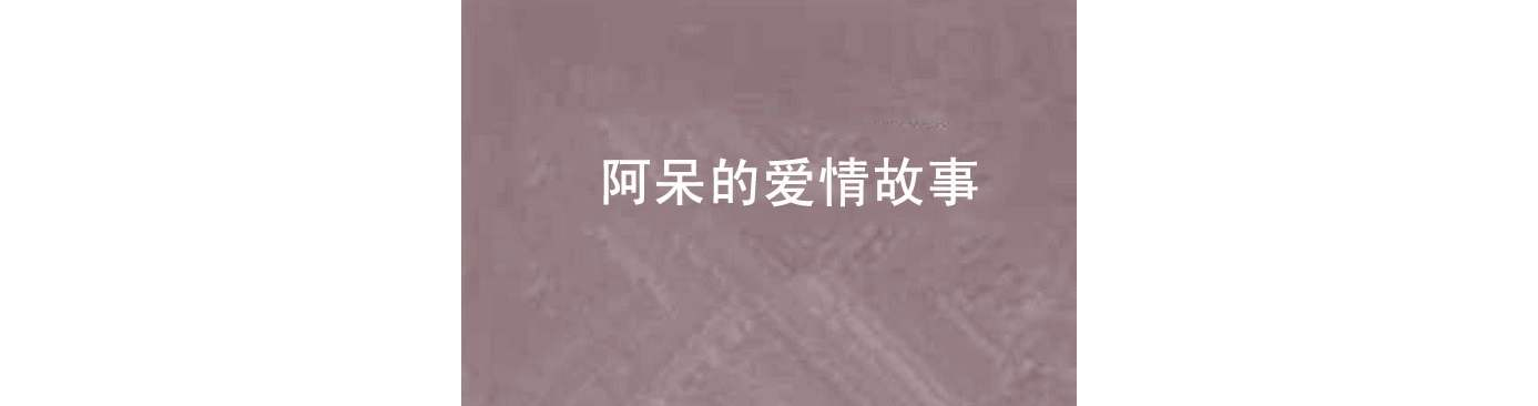 阿呆的愛情故事