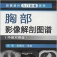 影像讀片入門必備系列：胸部影像解剖圖譜