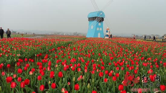 紫雲橋村