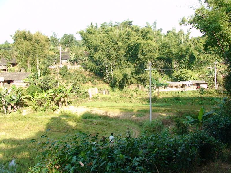 五村村(雲南宜良縣匡遠鎮下轄村)