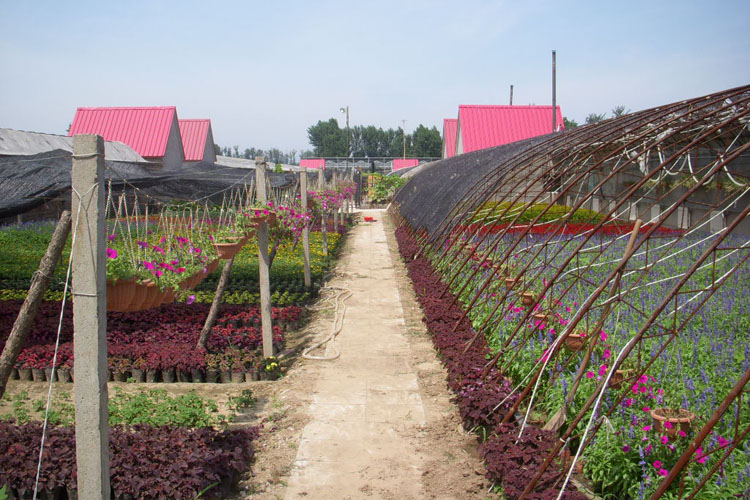 花園村(北京市懷柔區楊宋鎮)