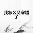 我怎么又穿越了(南風野創作的網路小說)