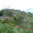 團山自然村(雲南文山麻栗坡縣鐵廠鄉鐵廠村委團山自然村)