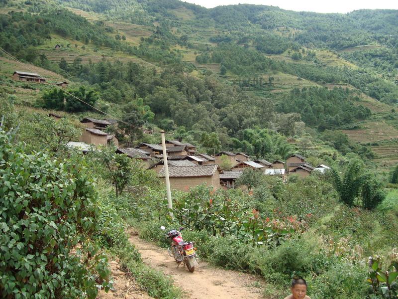 茶核桃樹自然村