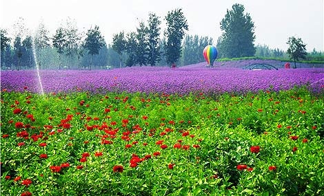 森林河趣那主題公園