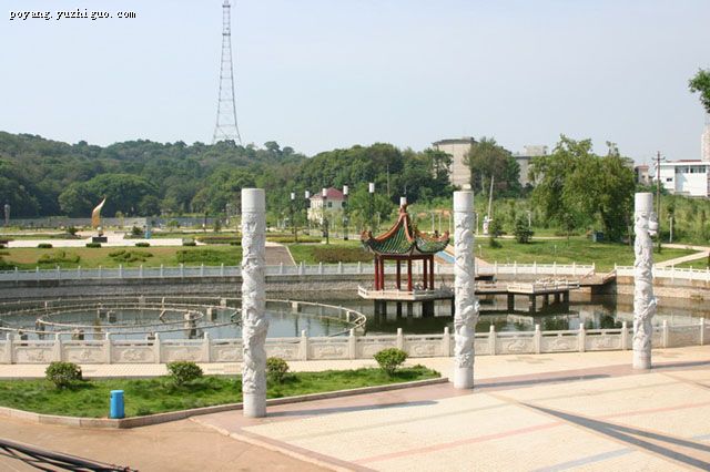 芝山公園