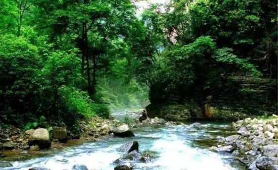 貴州金沙冷水河國家森林公園