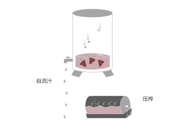 二氧化碳浸漬法