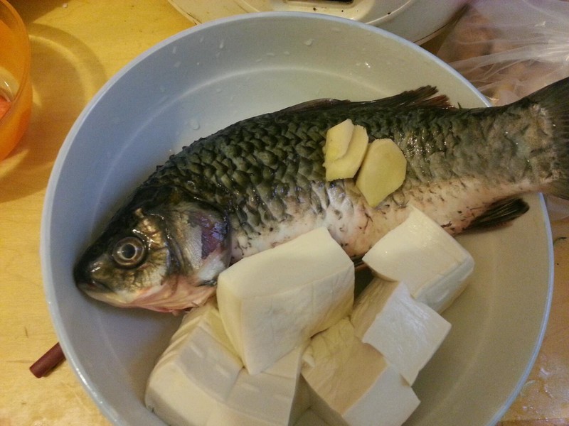 馬齒莧鯽魚豆腐湯