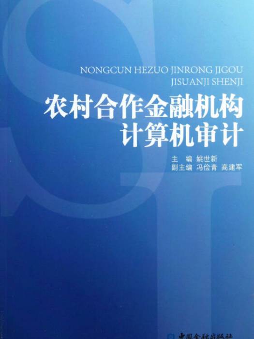 農村合作金融機構計算機審計