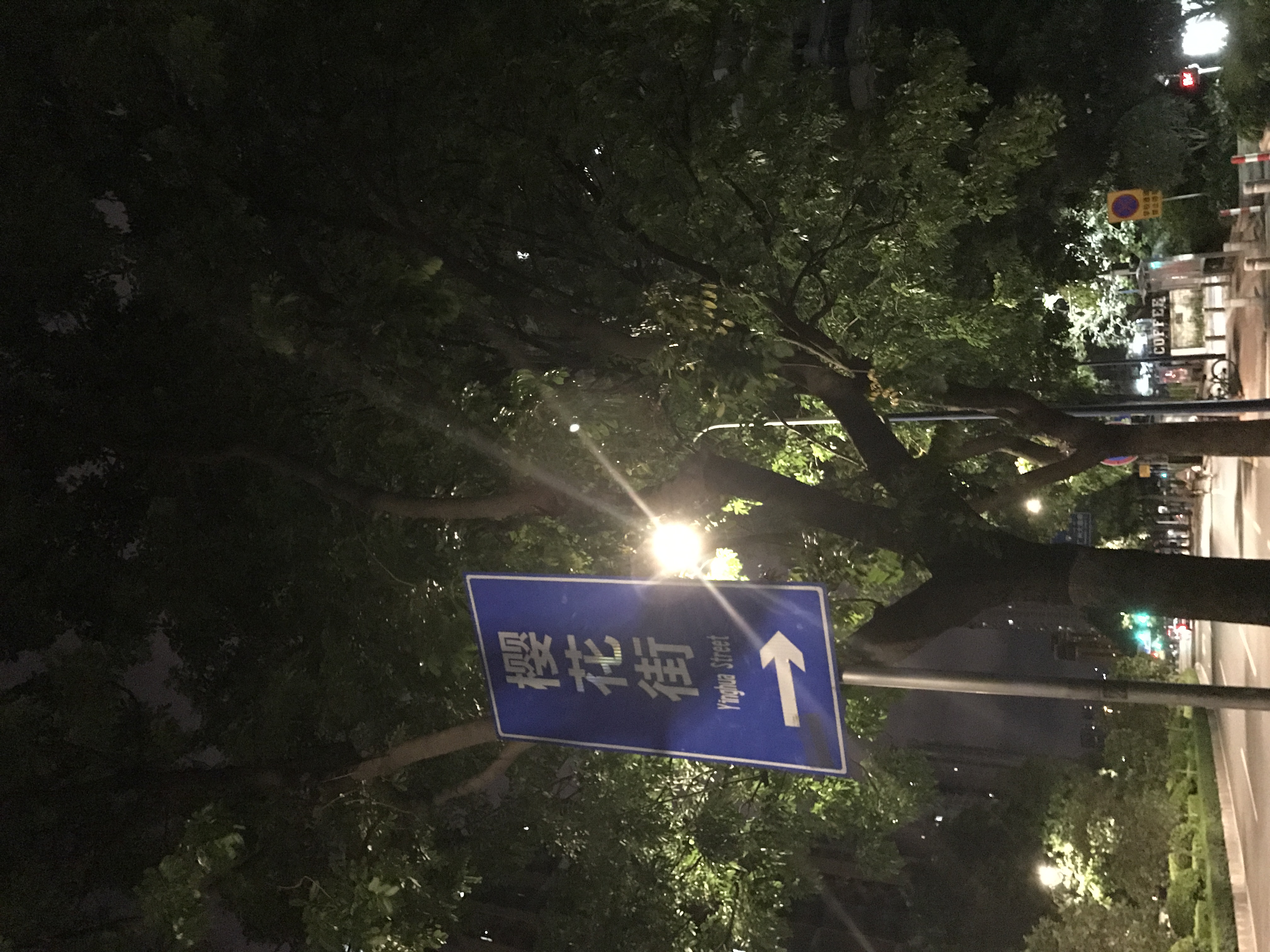 櫻花街(街區道)