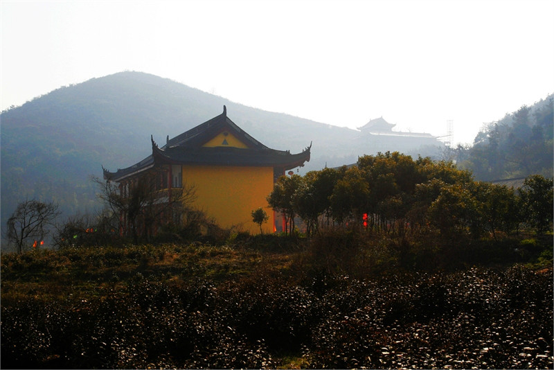 膠山寺