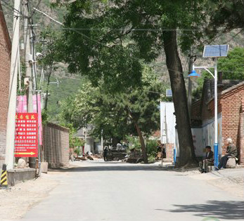 古城村(北京市延慶區舊縣鎮下轄村)