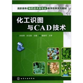 化工識圖與CAD技術