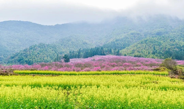 祿前村