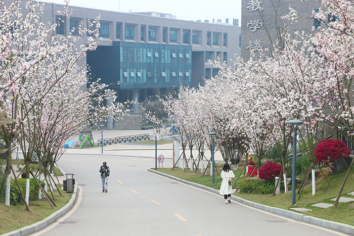 四川衛生康復職業學院(自貢衛校)