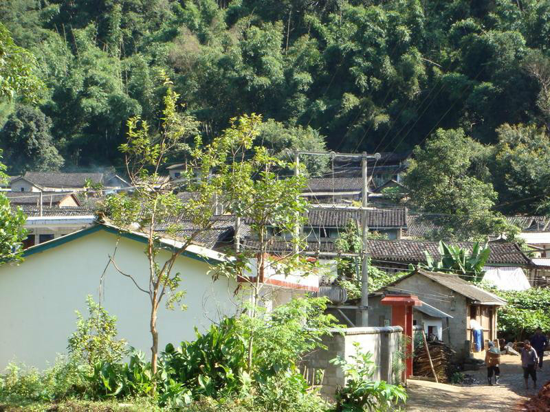 鳳尾村(雲南省臨滄鎮康縣鳳尾鎮下轄村)