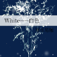 White——白色