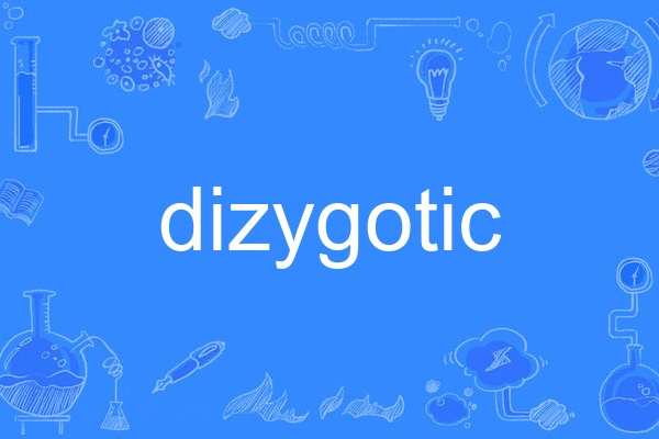 dizygotic