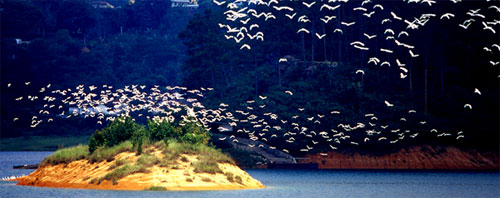 流溪河國家森林公園