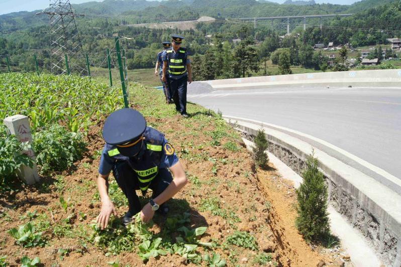 公路用地