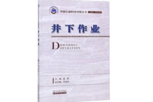 井下作業(2019年石油工業出版社出版的圖書)