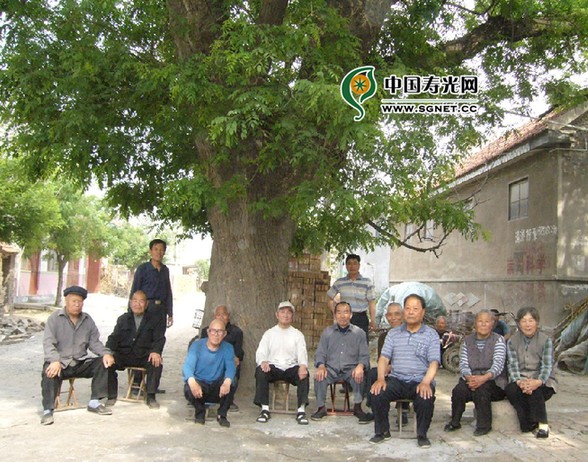 劉家莊村(壽光市古城街道下轄村)