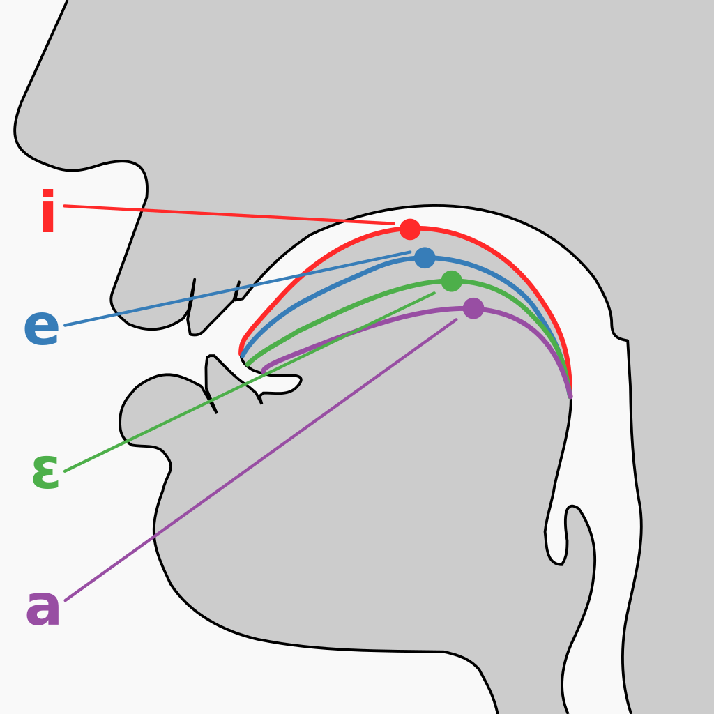 元音 [i, e, ɛ, a] 的舌點陣圖