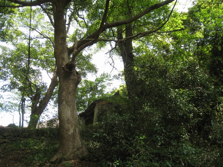 和尚嶺山道