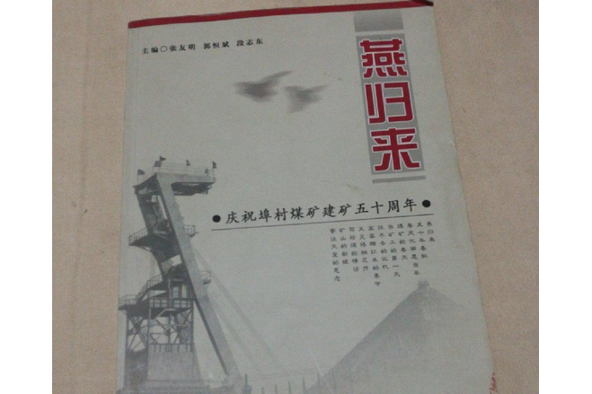 燕歸來(2008年黃河出版社出版的圖書)