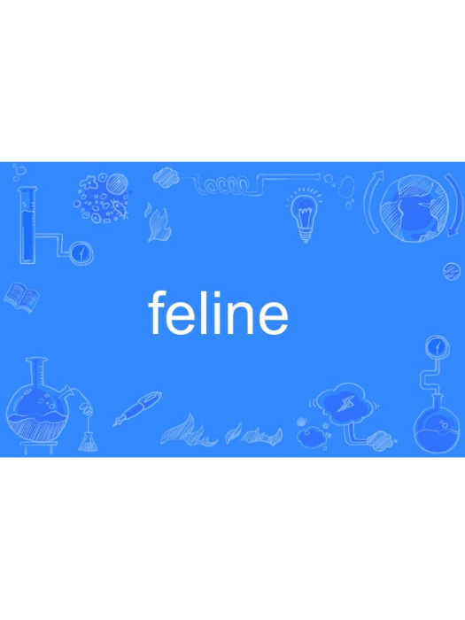 feline(英語單詞)